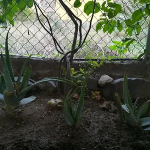 Casa La Terraza Ferienhaus Vallehermoso